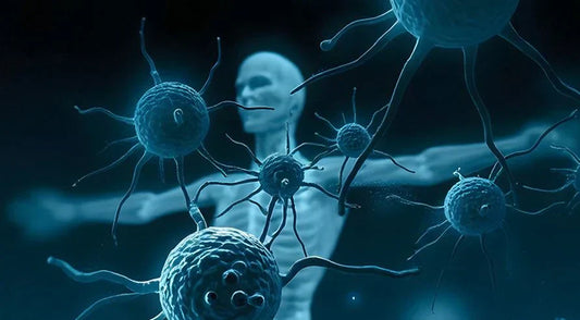 Inflammation & Immunity: Balancing Pain and Relief